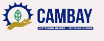 cambay company logo